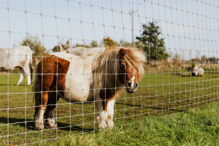 Understanding the Different Types of Farm Fence Wire