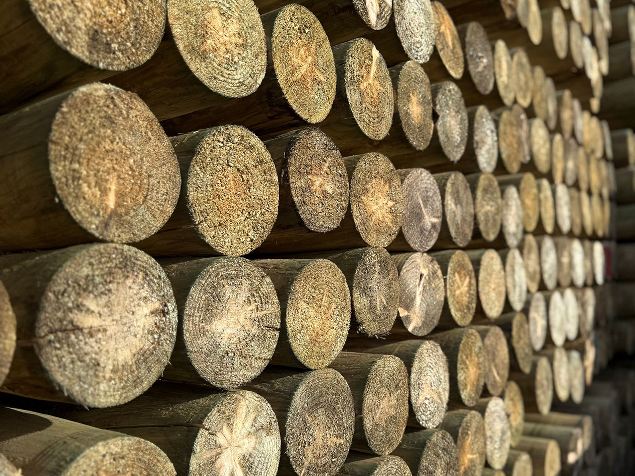 Treated Cylinder Fence Posts