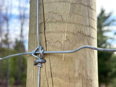 Treated wood fence post with fixed knot wire