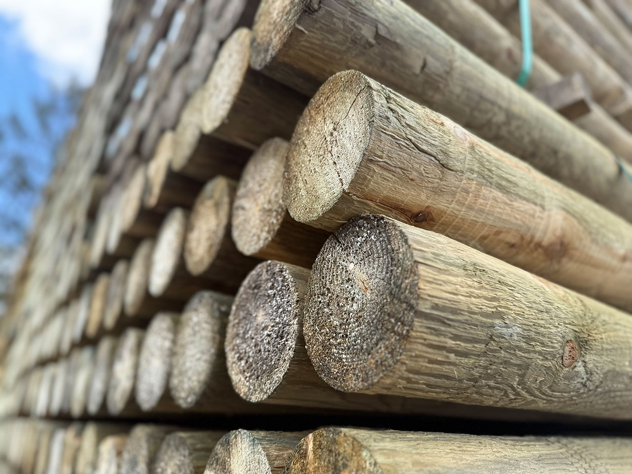 Treated posts Treated posts